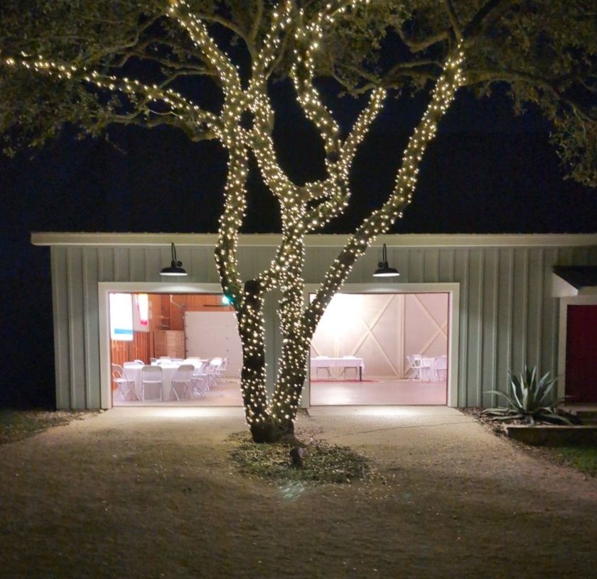 A tree with christmas lights on it in front of a building