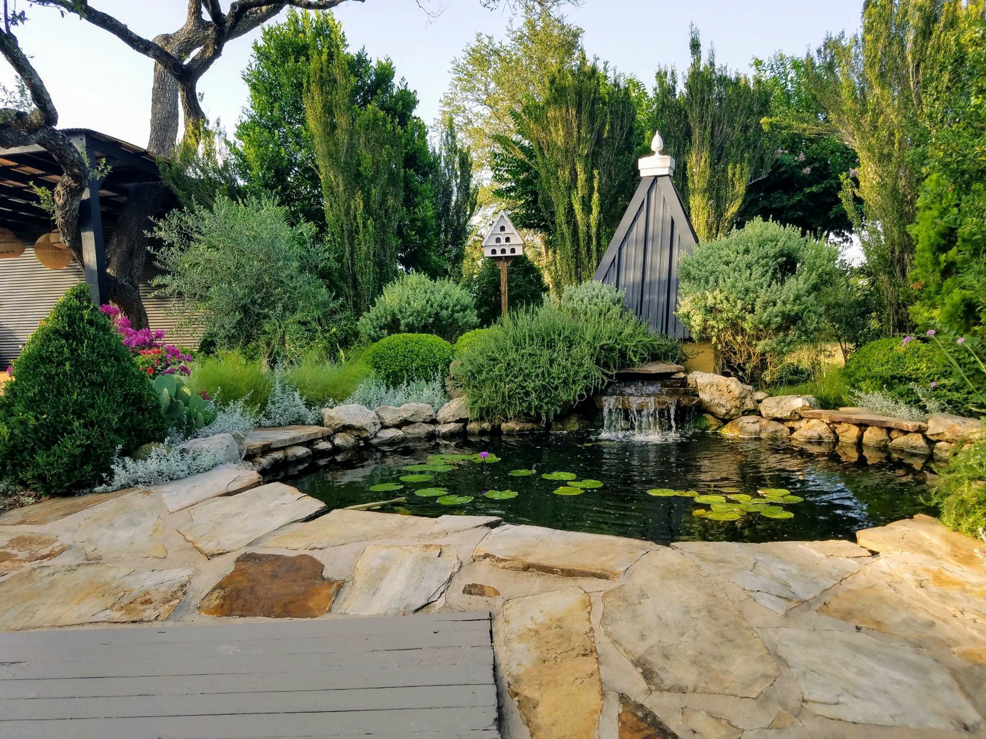 A pond with a waterfall in the middle of a garden