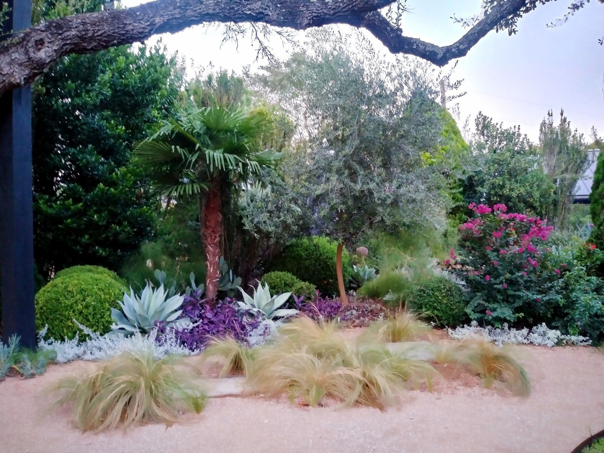 A path leading to a grassy field with a barn in the background.