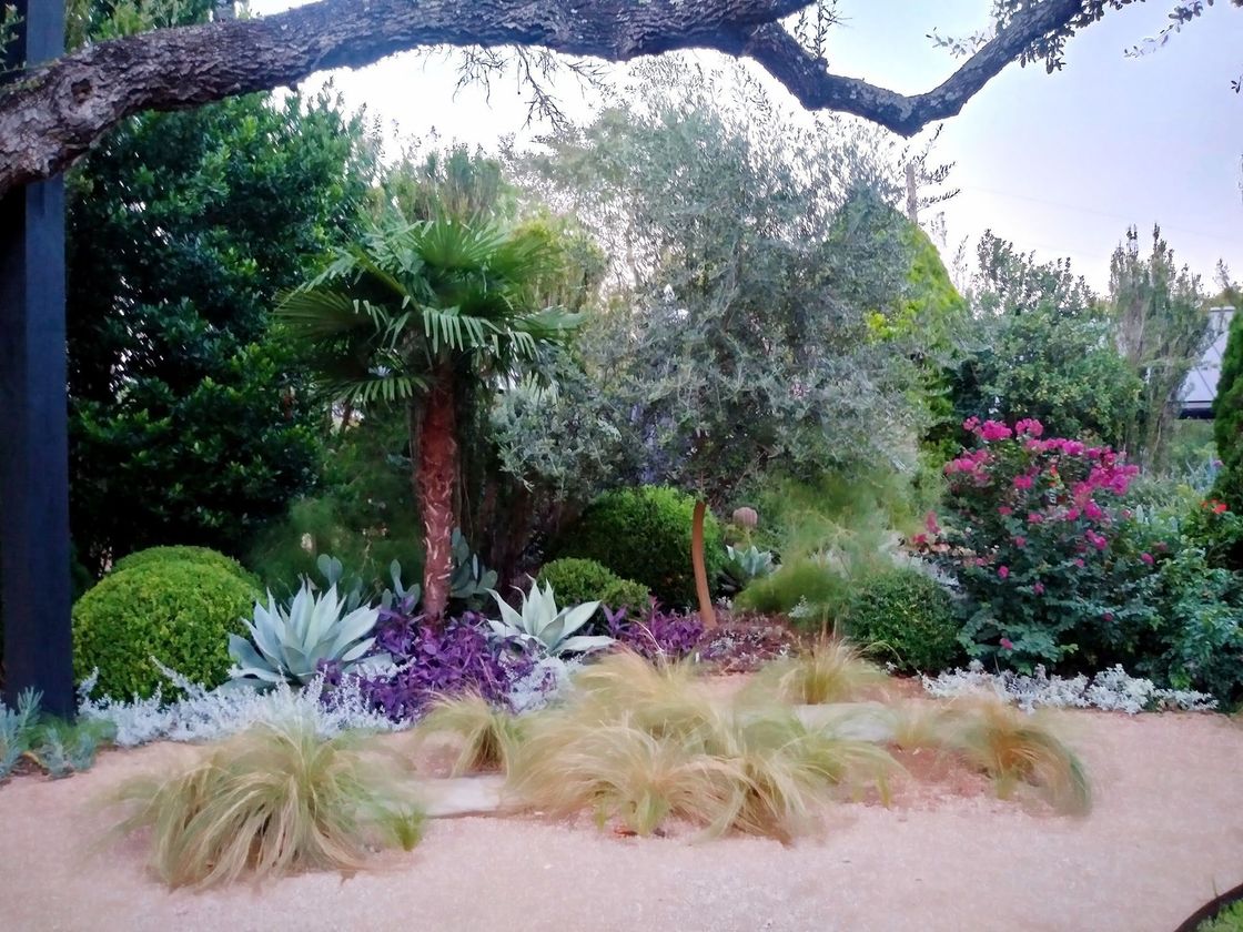 A garden filled with lots of plants and trees.