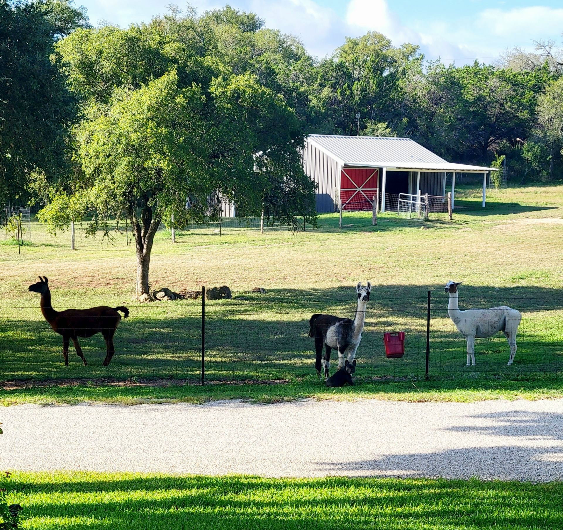 A room with tables and chairs and a sign that says exxon
