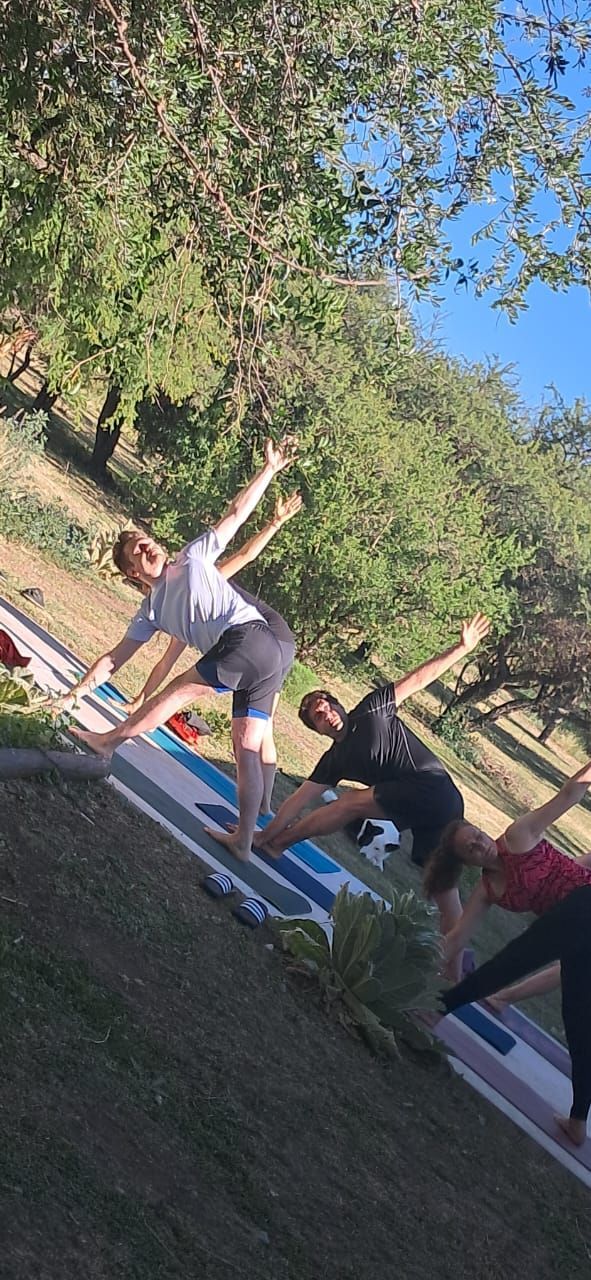 Personas practicando posturas de yoga sobre colchonetas en una zona verde al aire libre cerca de árboles.