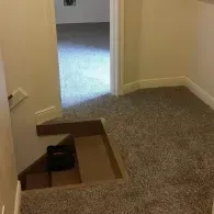 A staircase opening in a carpeted floor leading down into a dark basement, with a doorway visible in the background.