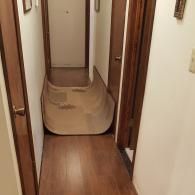 A hallway carpet runner is bunched up and raised, creating a significant trip hazard on the hardwood floor.