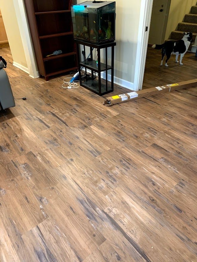 A black and white dog stands in a doorway looking at an aquarium on a black metal stand atop light wood-plank flooring.