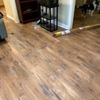 A room with wood-look laminate flooring, a dark bookshelf, a metal display stand, and a dog standing in the doorway.
