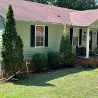 A light green house with a dark brown roof and black shutters, featuring tall evergreen shrubs in the front yard.