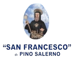 AMBULANZA PRIVATA PINO SALERNO LOGO