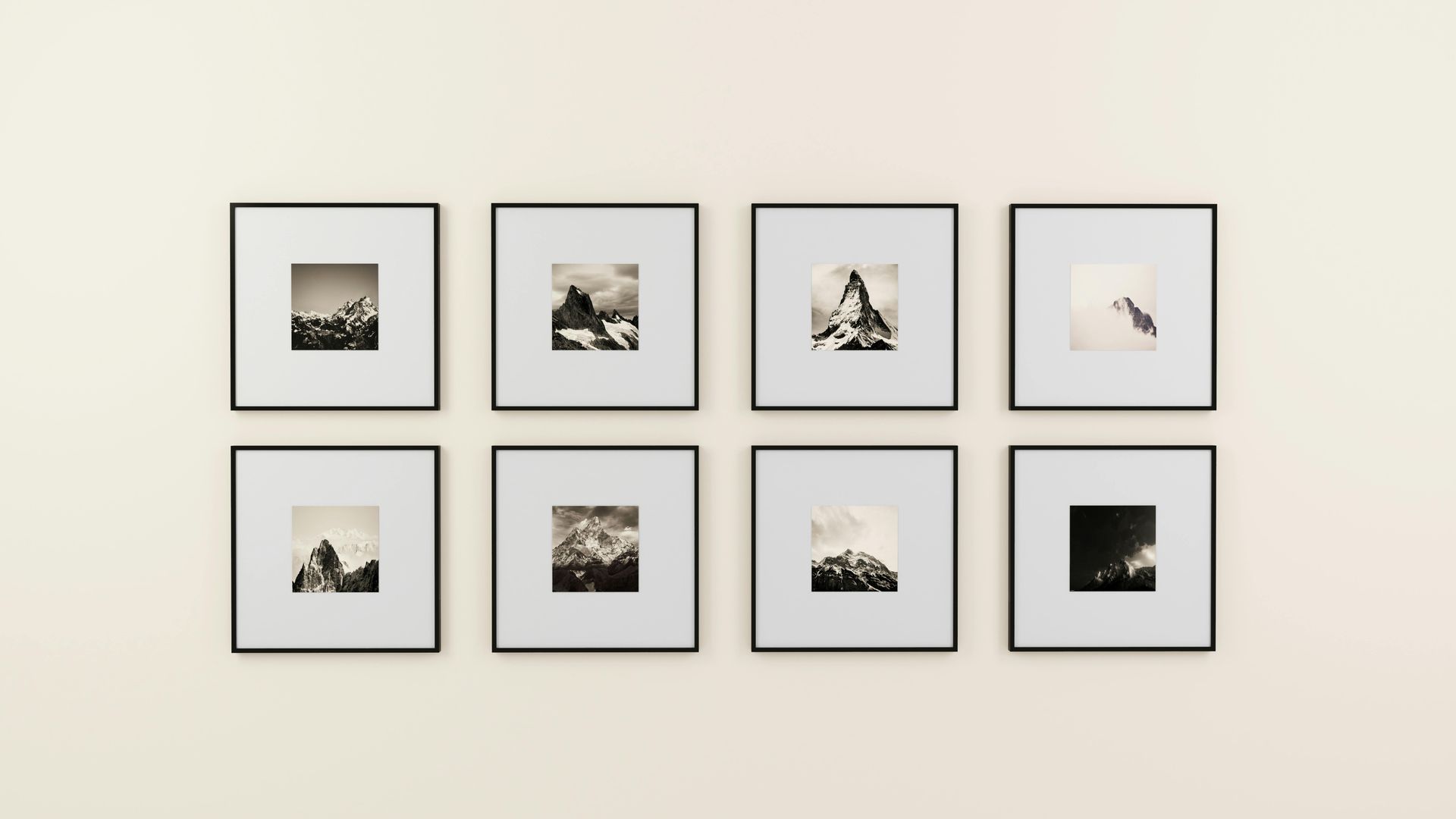photos on a wall