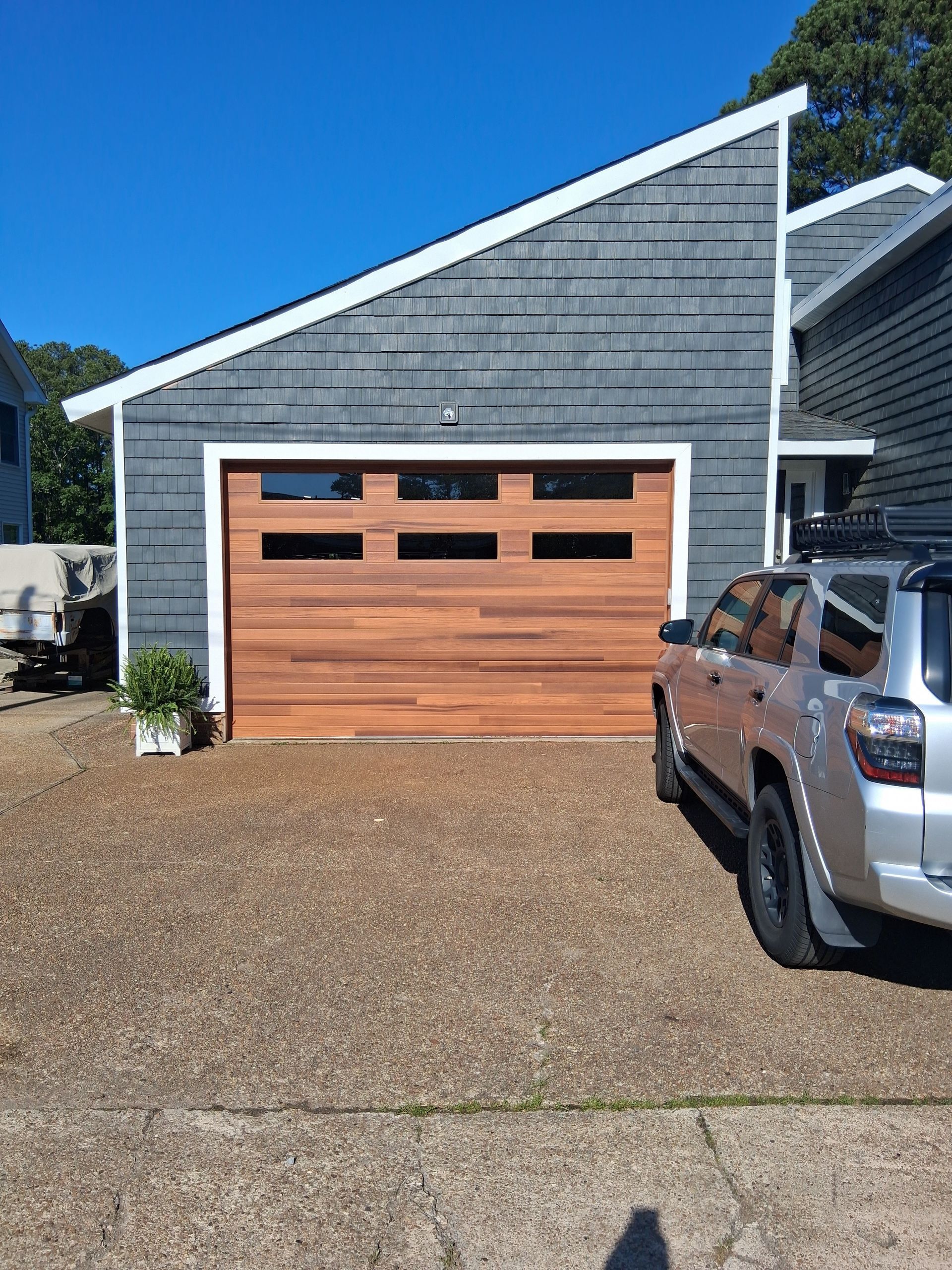 A close up of a palm tree leaf that looks like a fan