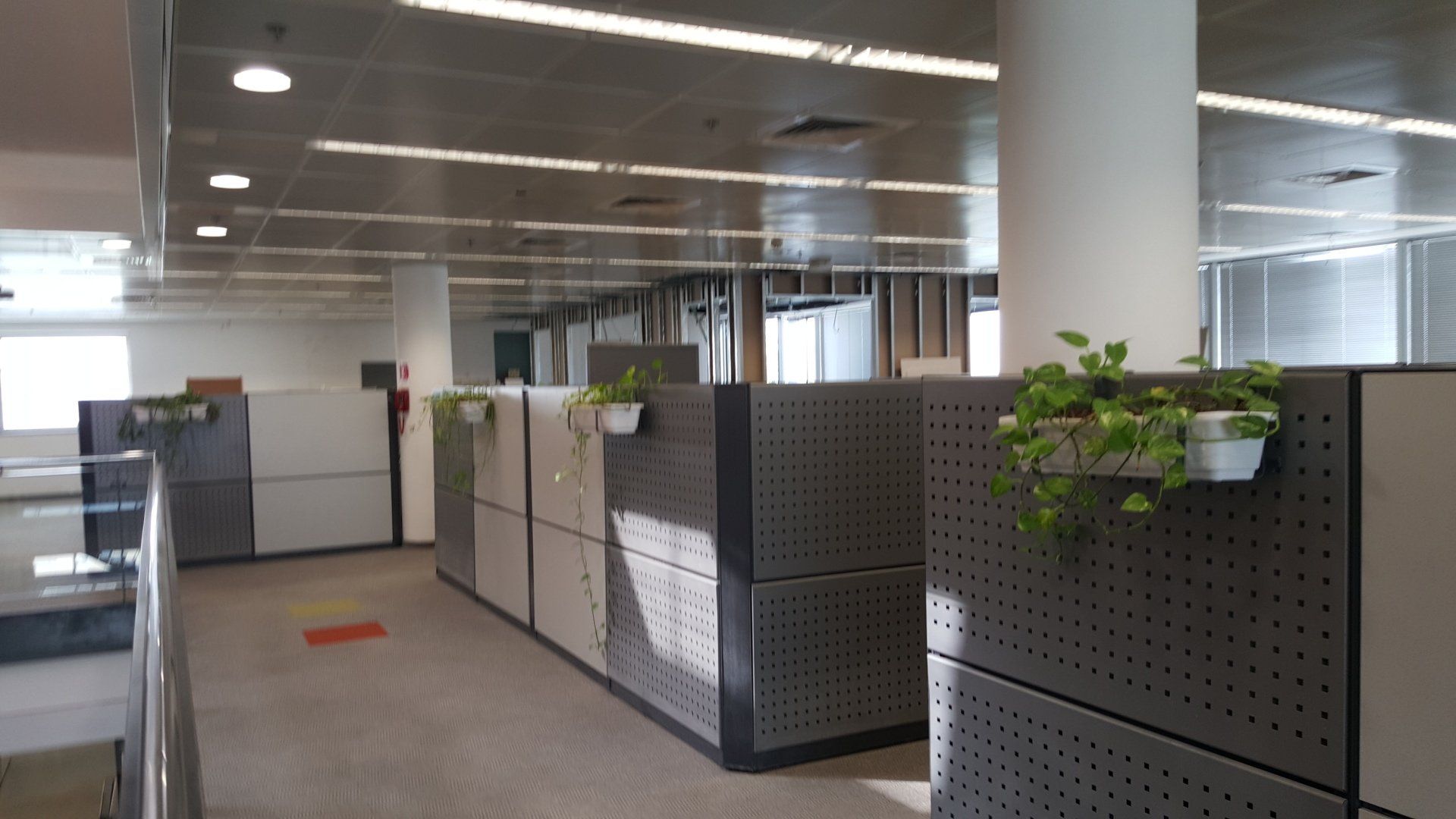 חדר סטודיו מיקרו פוקוס