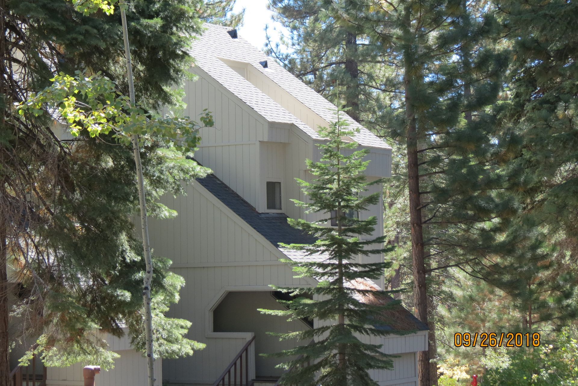Beige multi-story building amongst tall green trees, sunny outdoors.