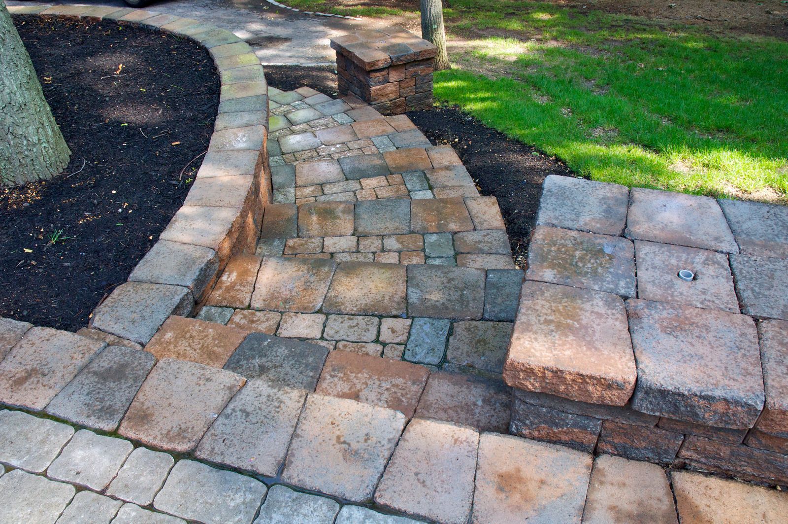 A stone walkway with steps leading up to a tree in a yard.
