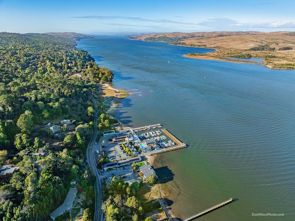 An aerial view of a large body of water surrounded by trees.