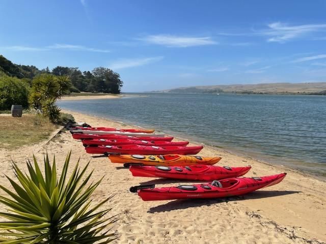 A row of red kayaks are lined up on a sandy beach next to a body of water.
