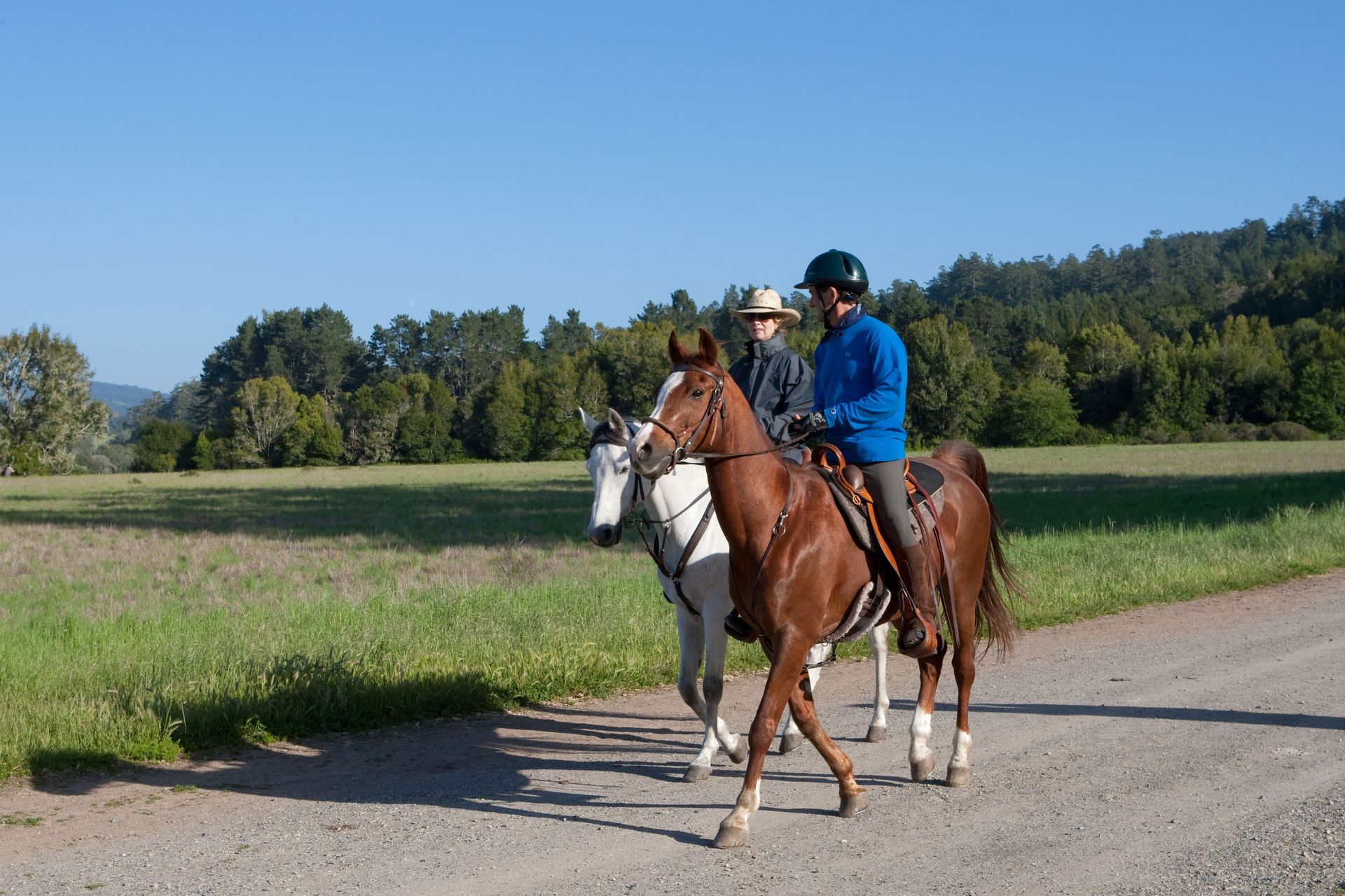 Two people are riding horses down a dirt road.