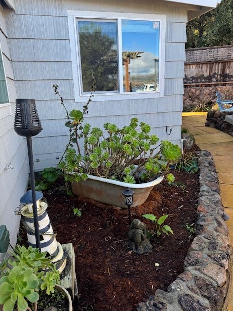 A bathtub planter with succulents sits in a garden bed near a house.
