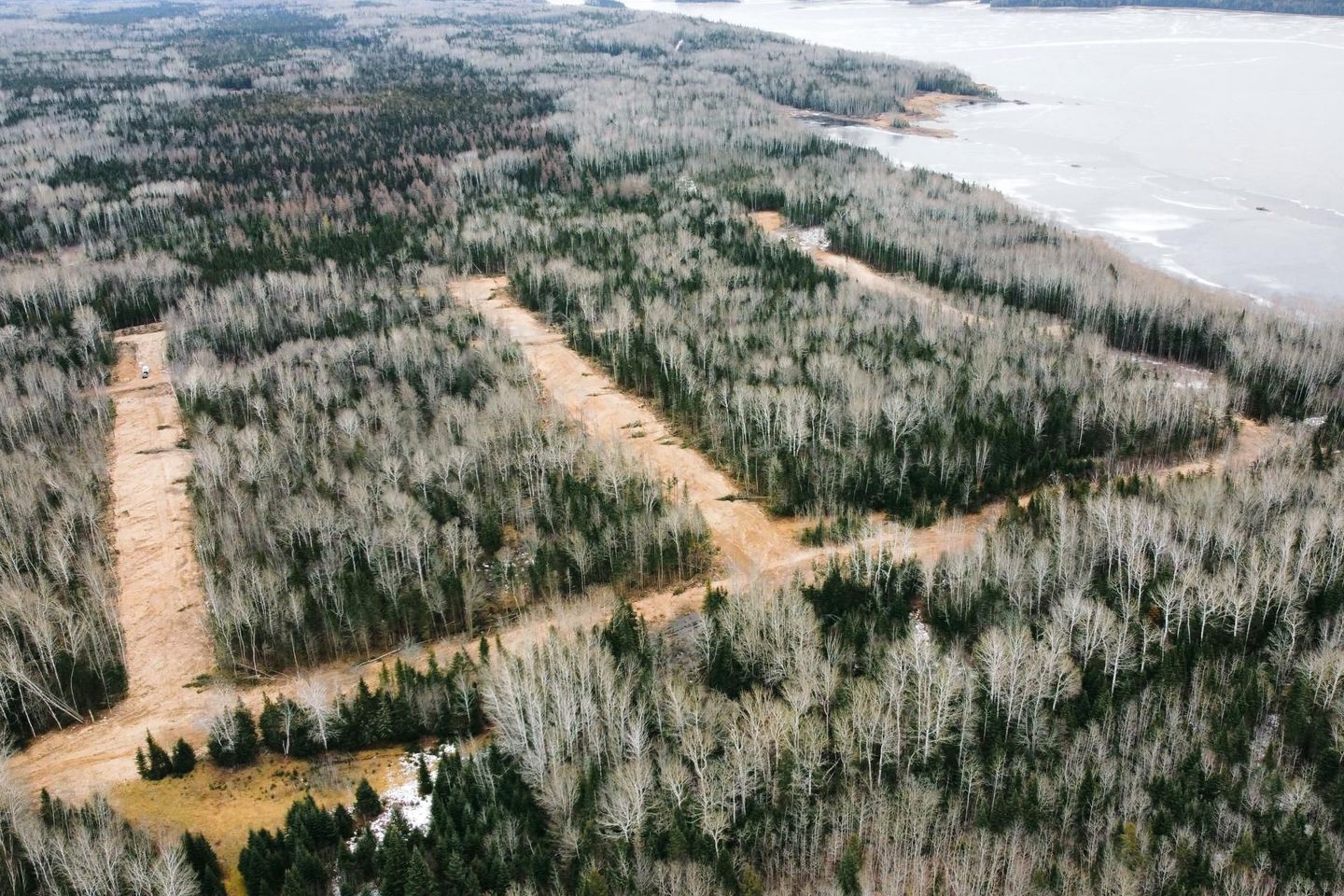 Vue aérienne d'une forêt traversée par une route et un plan d'eau en arrière-plan.