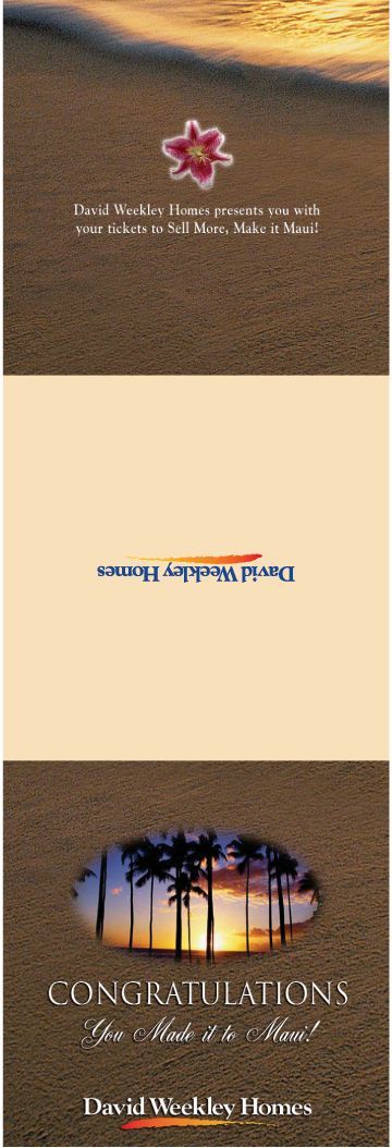 A brochure with a picture of a sunset and palm trees on it.