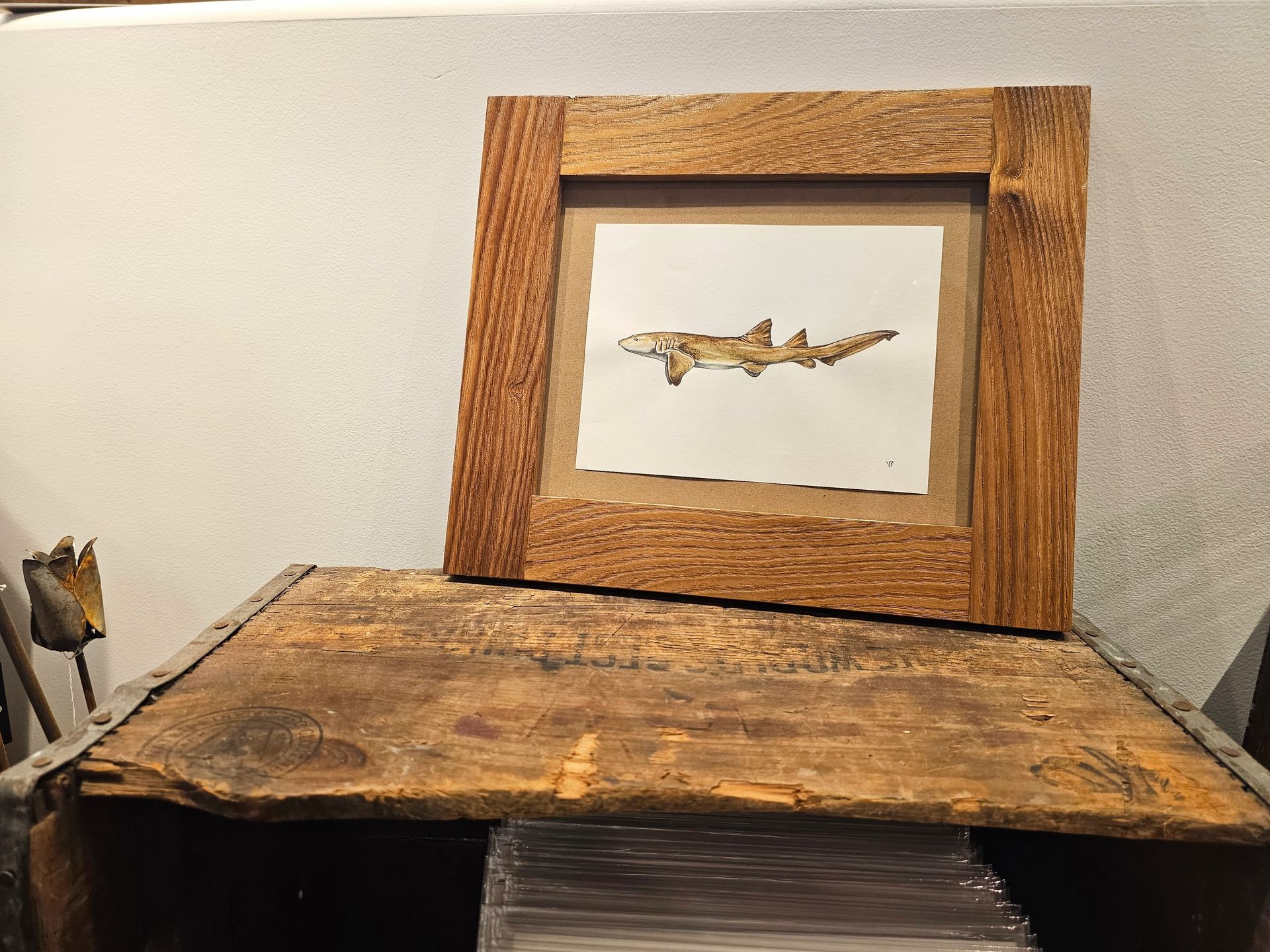 Nurse Shark Print