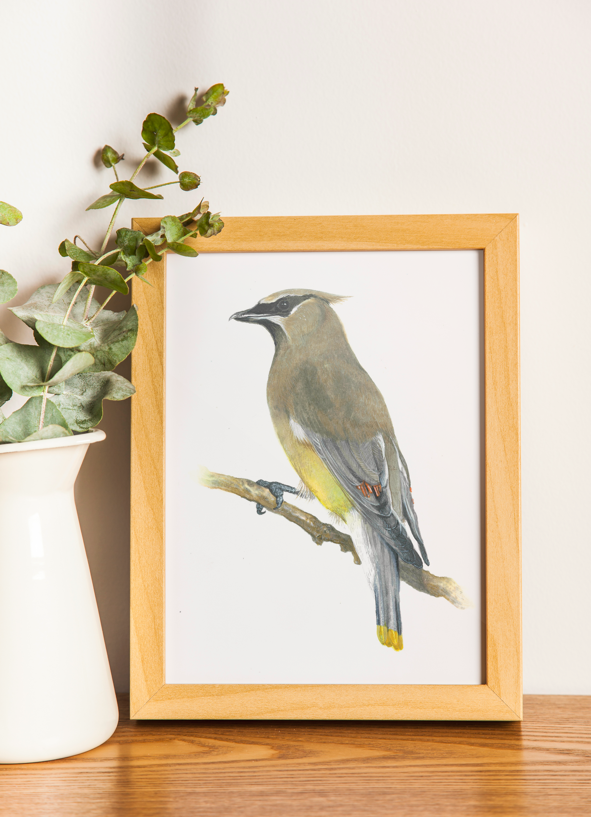 Cedar Waxwing Print
