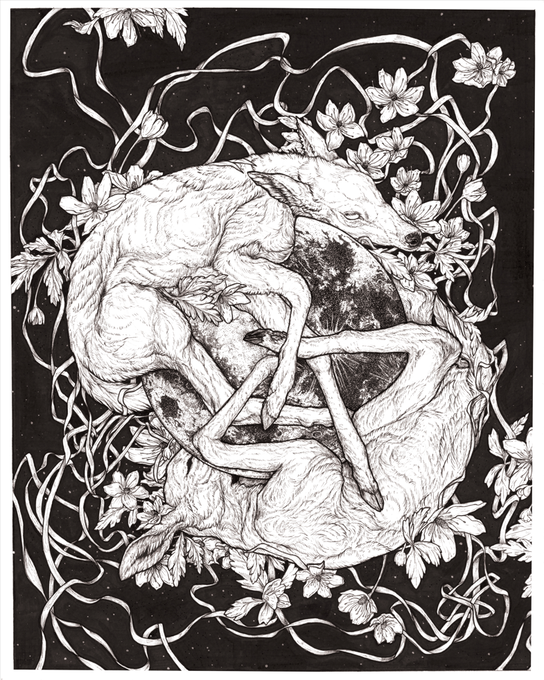 Evolution Sweeping  B/W Art Print