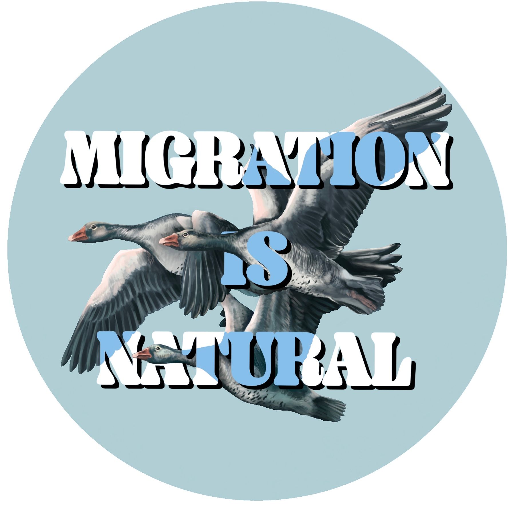 Migration is Natural Sticker