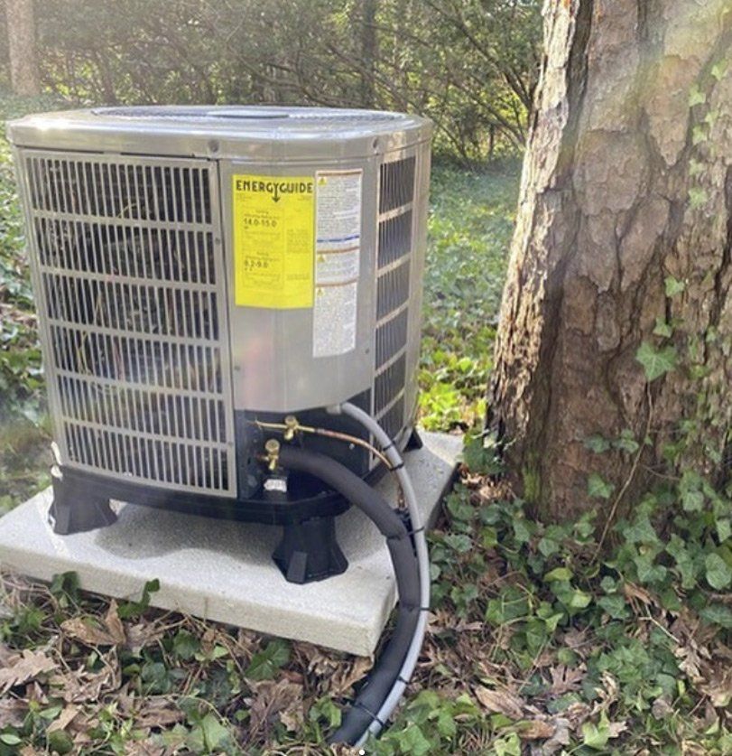 An air conditioner is sitting next to a tree in the woods