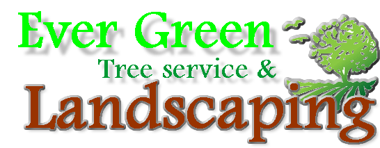Ever Green Tree Service & Landscaping