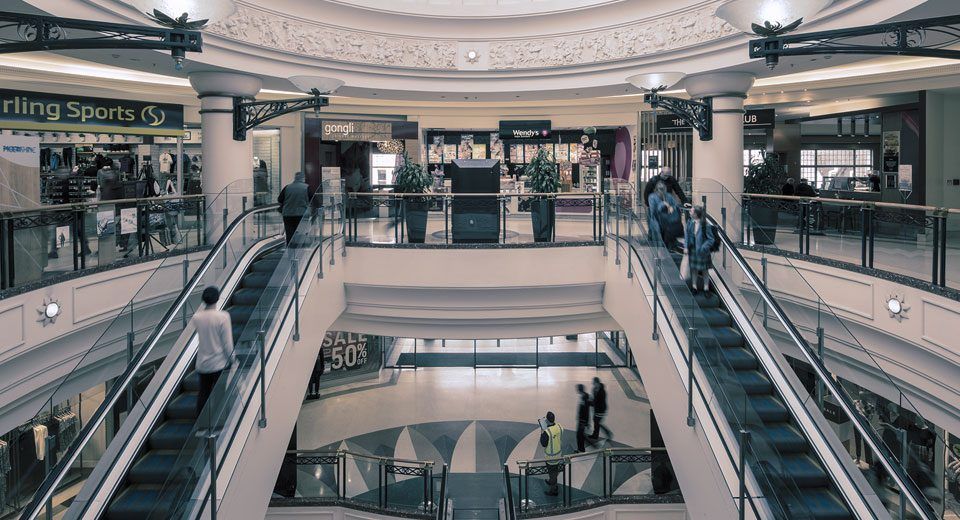 Logic Group project management team working on NZ construction project