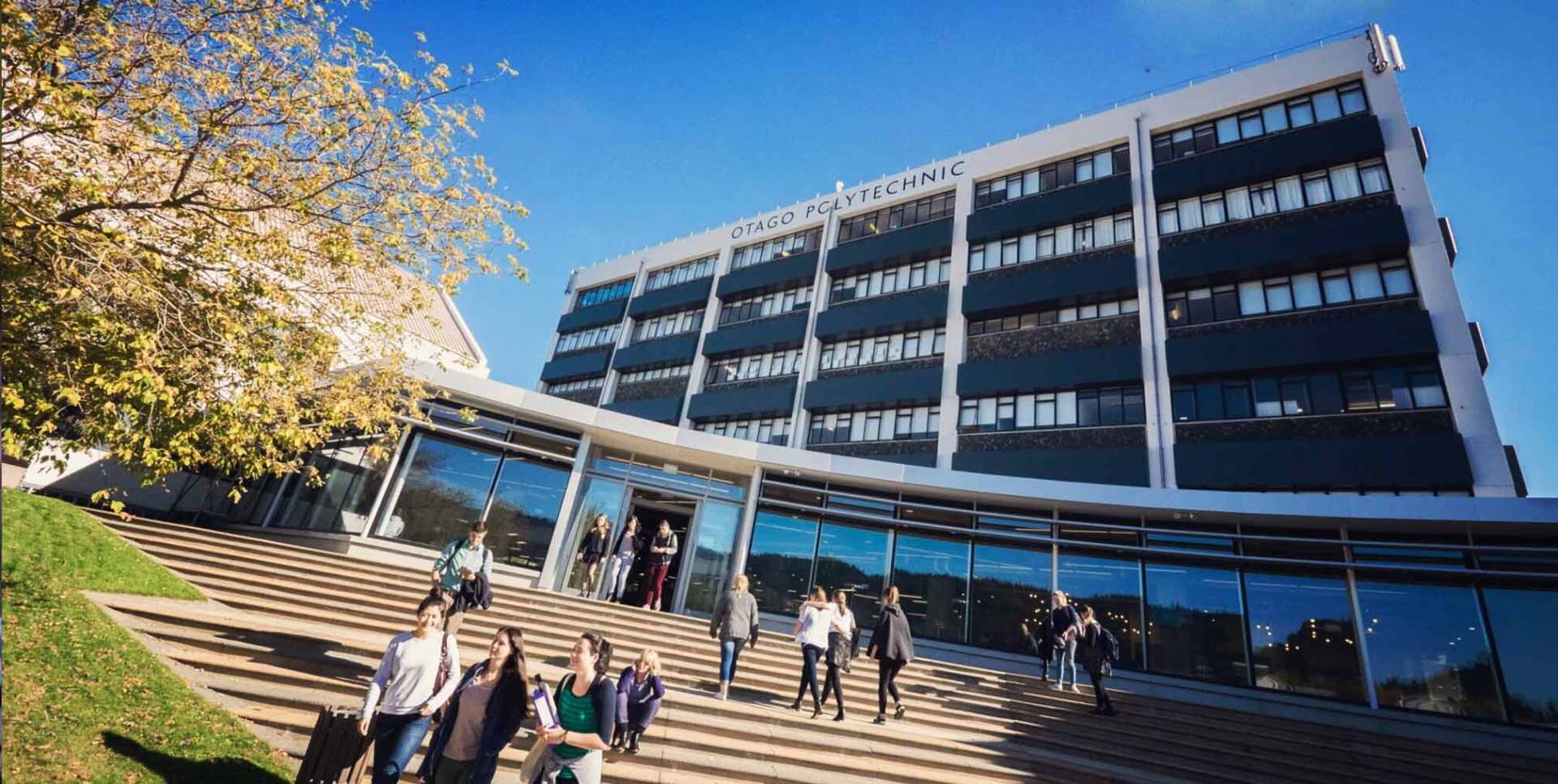 Logic Group project management team working on NZ construction project