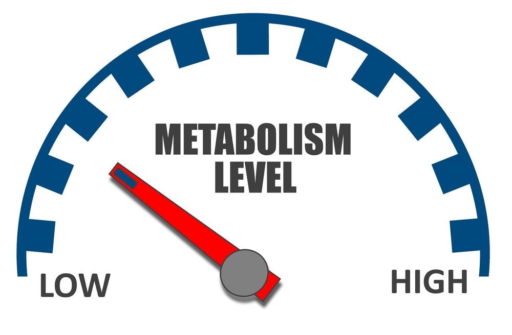 Meter showing low metabolism. Red needle points towards the low end of the gauge.