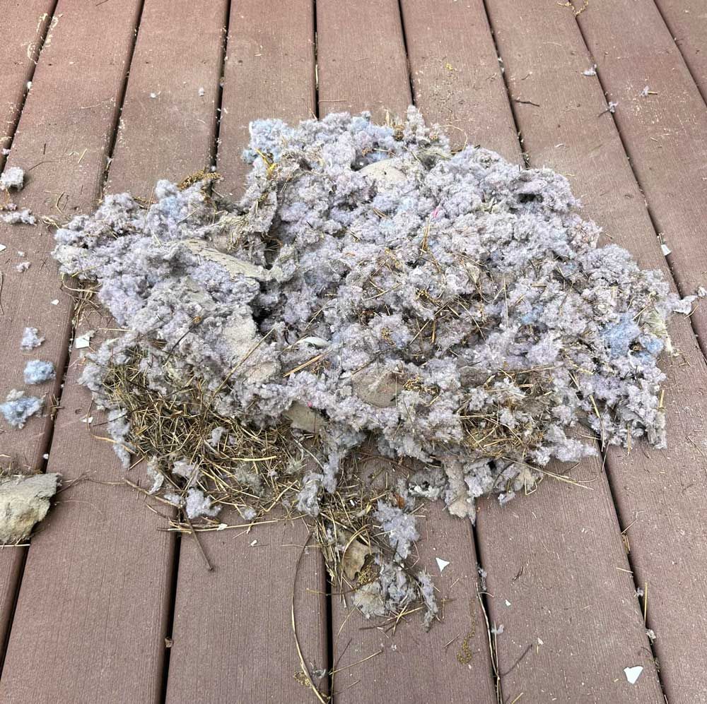 A pile of dust is laying on a wooden deck.