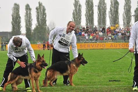 Odessa del Lago Val Noci