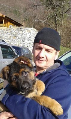 Allevamento cani ed educazione