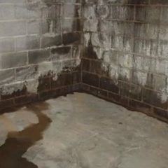 Basement Damp