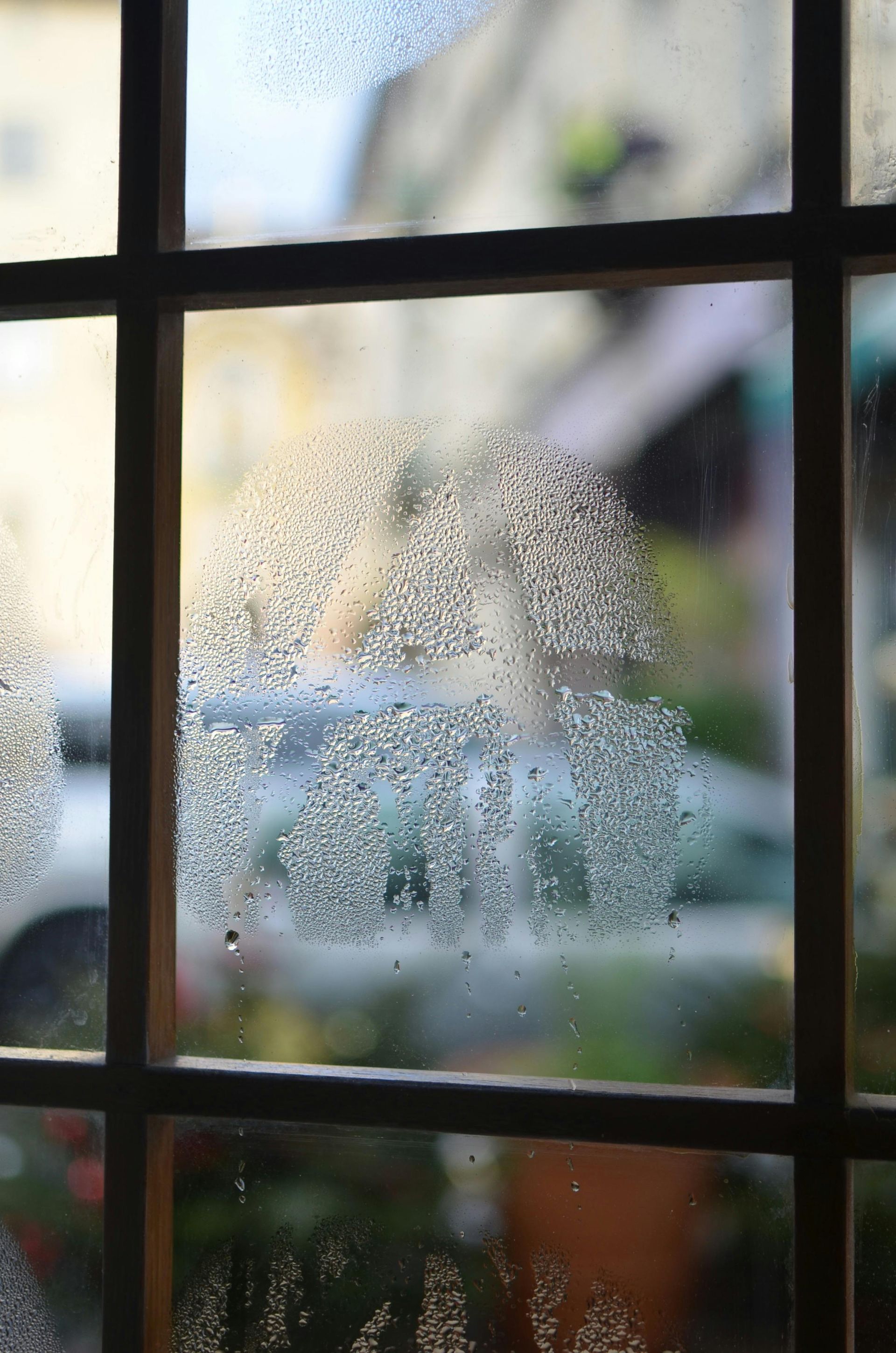 Window with condensation, blurred outdoor scene visible through the glass panes.