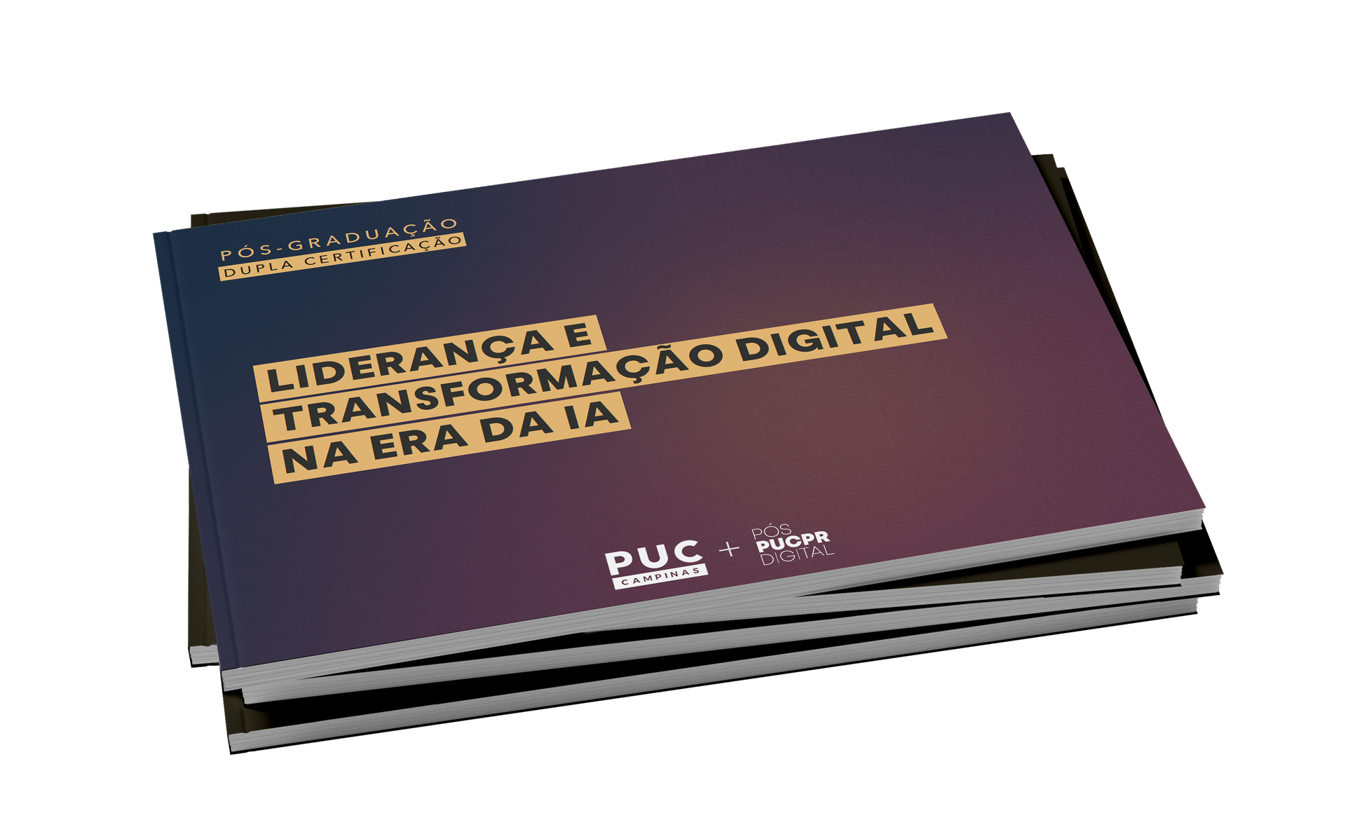 Guia do Curso