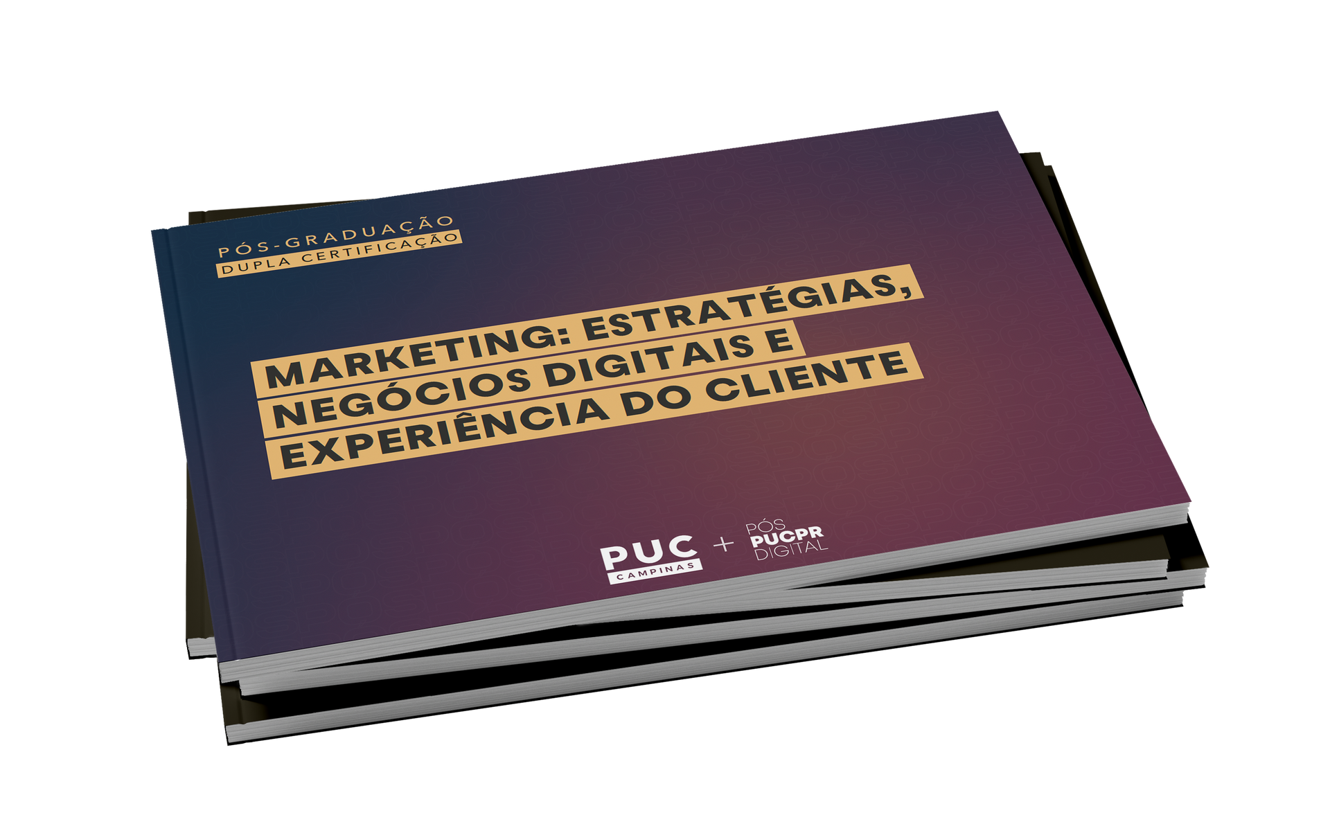 Guia do Curso