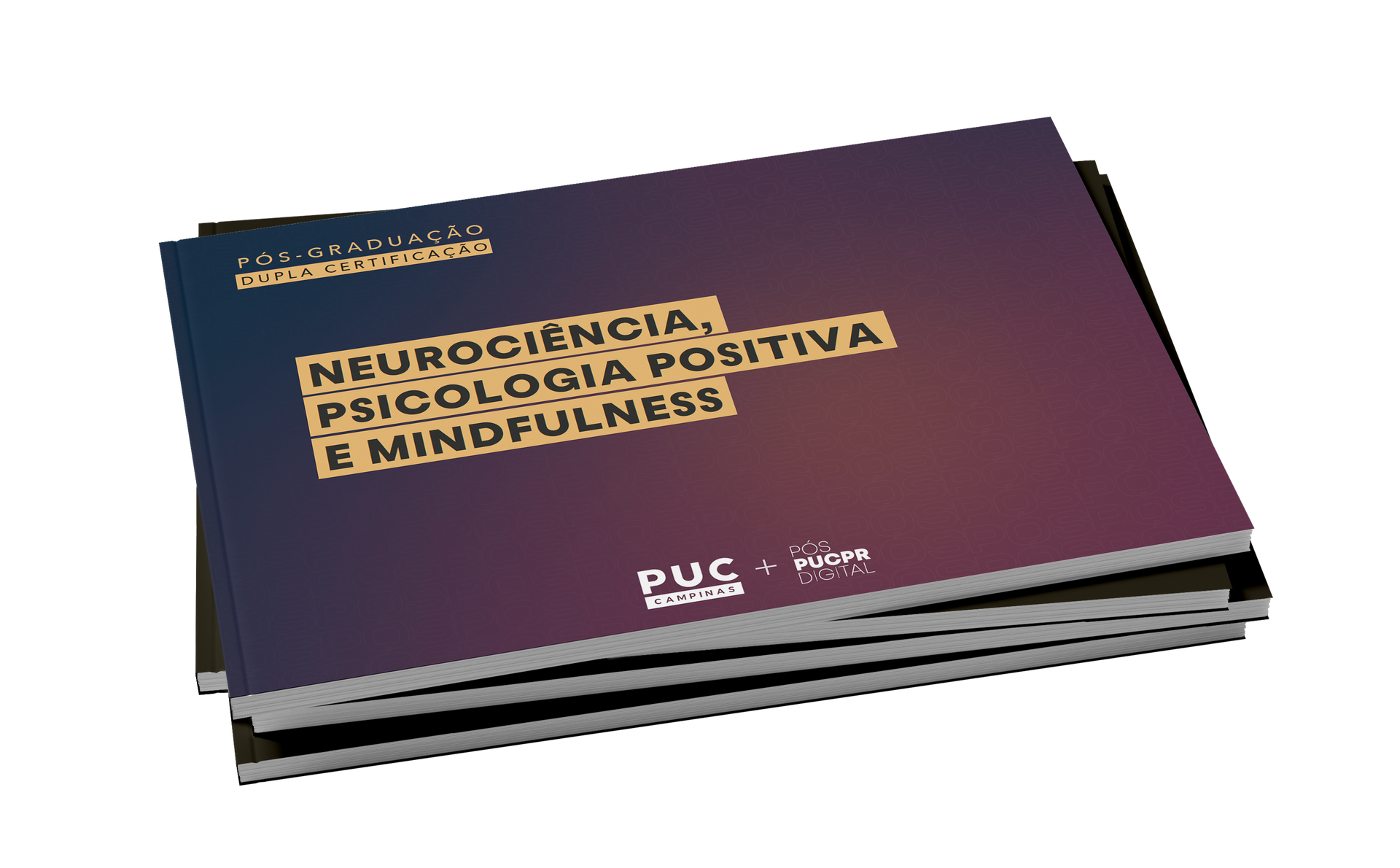 Guia do Curso