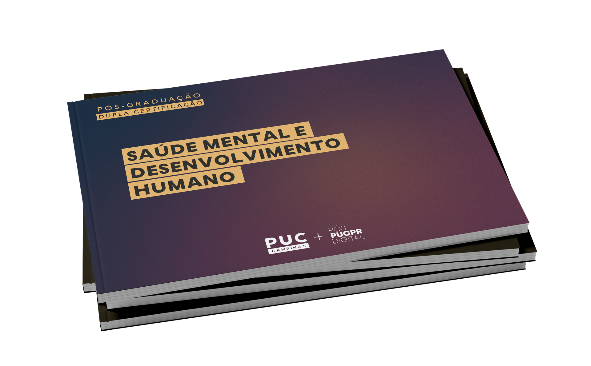 Guia do Curso