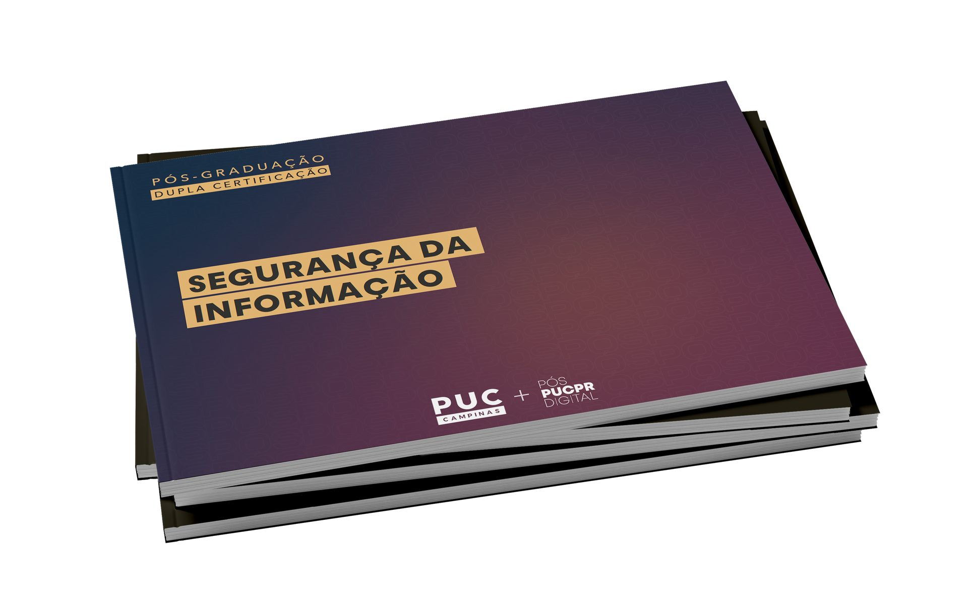 Guia do Curso