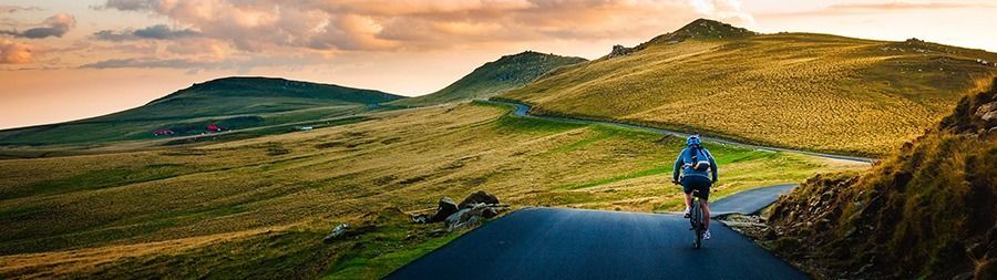 ROSEReport68Header