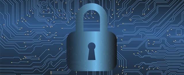 Rose-Report-Cyber-Web