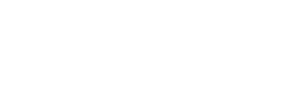 Visio Management Logo