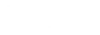 Visio Management Logo