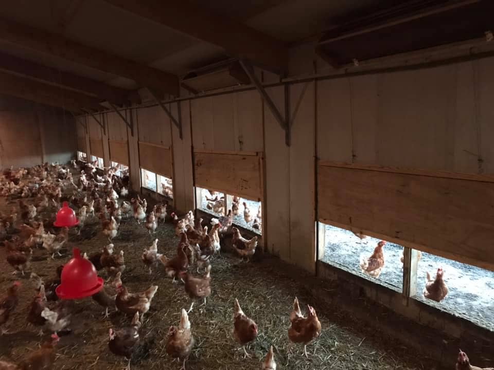 Total Control Solutions Poultry