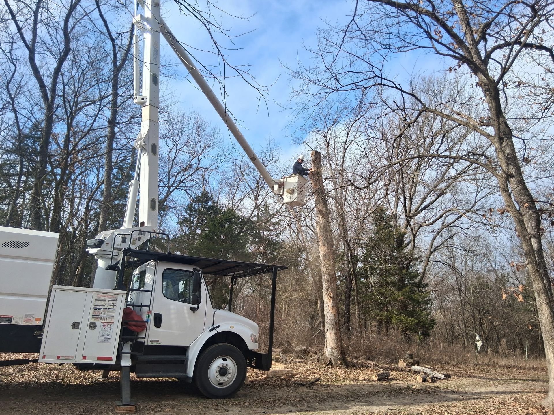 Tree service truck with lift, worker in bucket trimming tree branches. Outdoors, daylight.