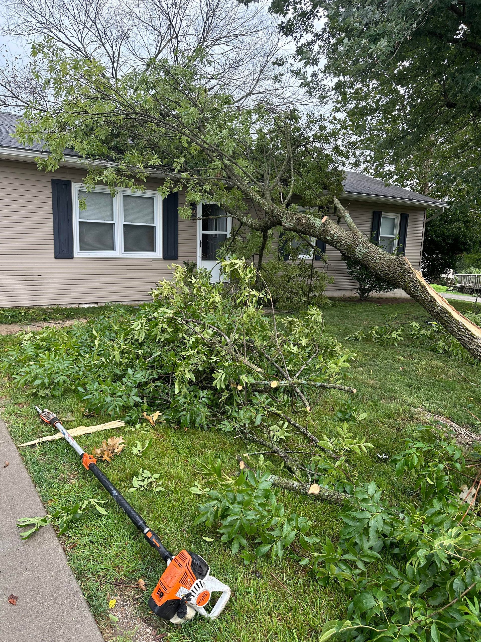 Tree Storm Damage Cleanup in Green Ridge, MO