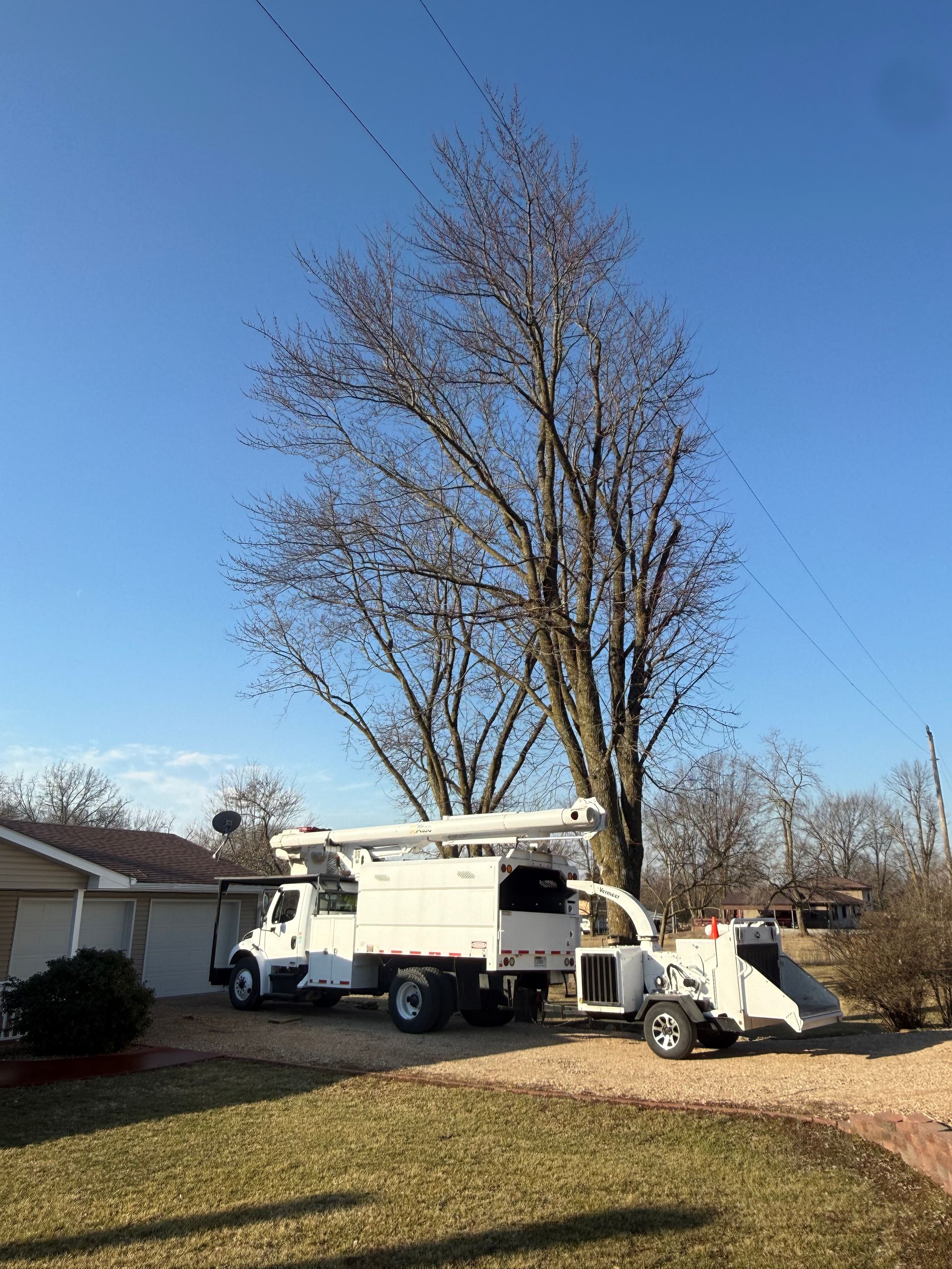 White truck with a lift arm trimming a large tree next to a small house with tan siding.